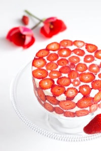Zoom sur les fraises du Fraisier Couvreur